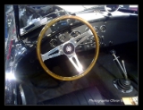 Importateur officiel Shelby-004